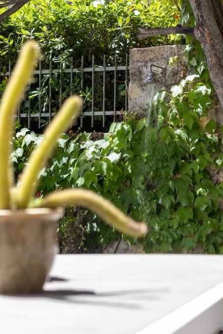 Appartement Il Giardino Tra Cielo E Mare à Porto Venere Extérieur photo